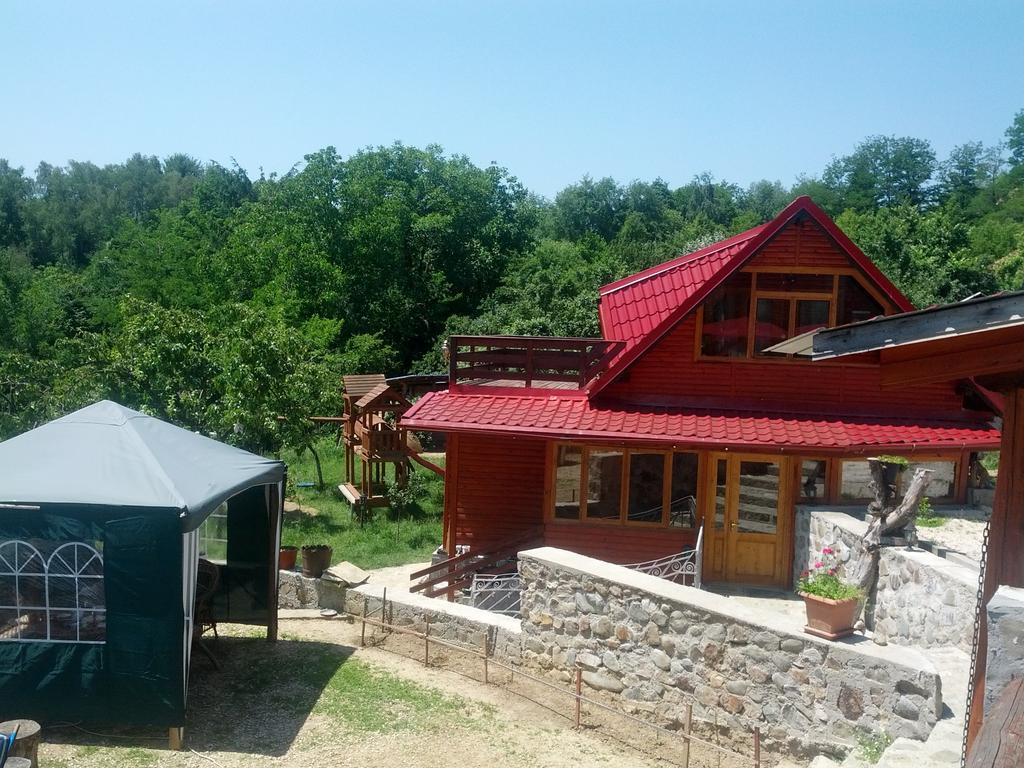 Pensiunea Magdalena Cîmpulung Extérieur photo